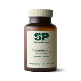 Niacinamide B6, 90 Capsules