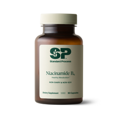 Niacinamide B6, 90 Capsules