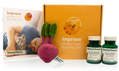 An image of what is included with the Kitten Kit.